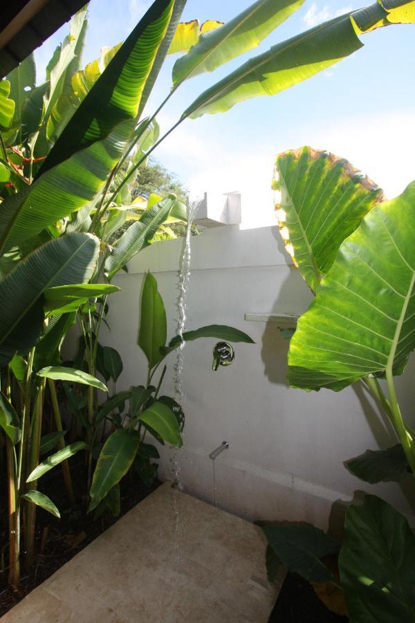 Canta La Rana Playa Bejuco  Exterior foto